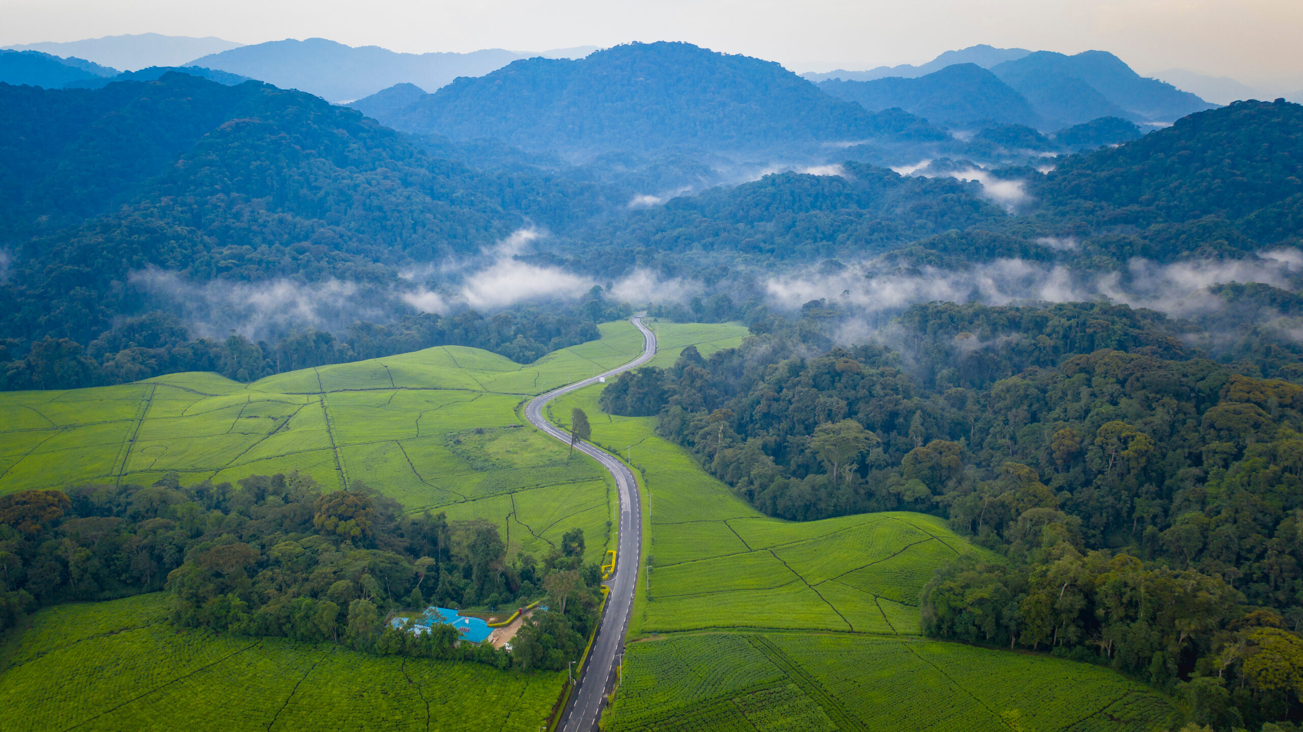 a picture showcasing the hills of rwanda